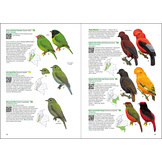 Birds of Colombia