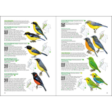 Birds of Colombia