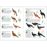 Birds of Colombia