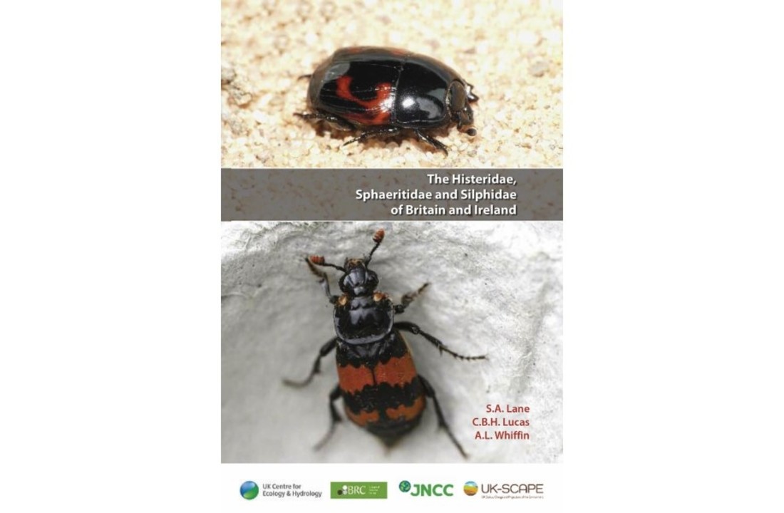 The Histeridae, Sphaeritidae and Silphidae of Britain and Ireland