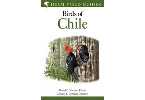Birds of Chile