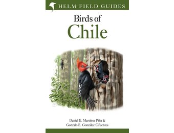 Birds of Chile