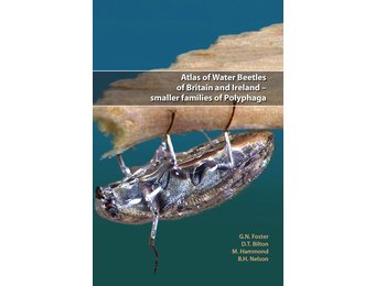 Atlas of Water Beetles of Britain and Ireland - Smaller Families of Polyphaga