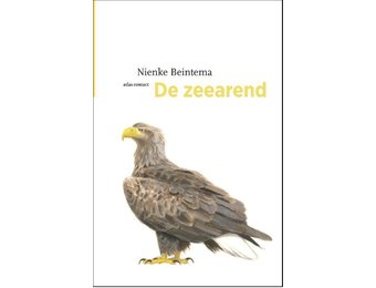 De Zeearend