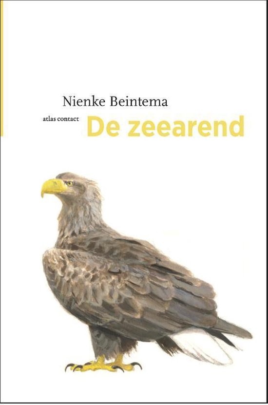 De Zeearend
