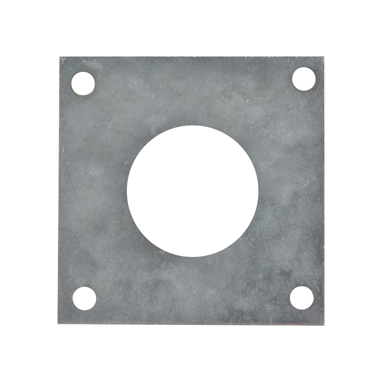 Protective plate great tit