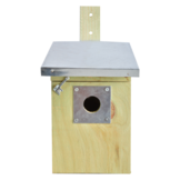 Protective plate great tit