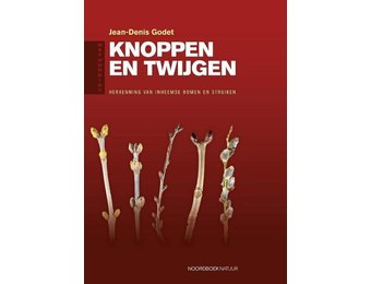 Natuurgids Knoppen en Twijgen
