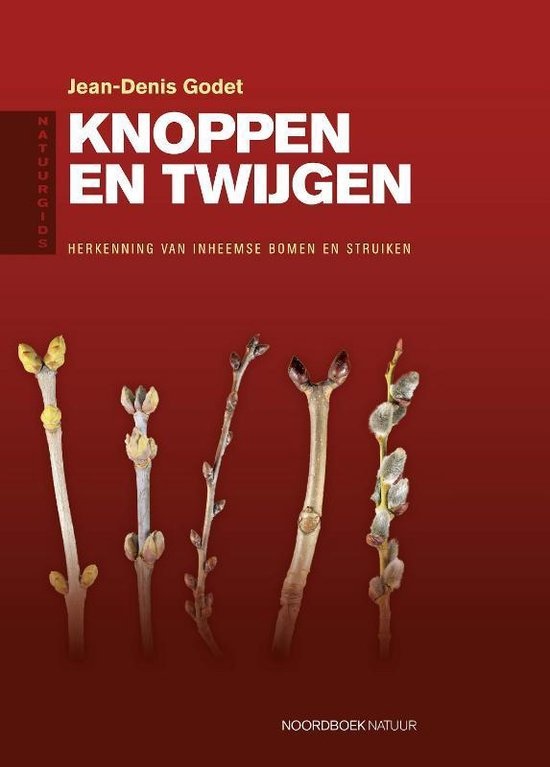 Natuurgids Knoppen en Twijgen