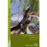 European Pond Turtles - Emys Orbicularis
