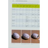 European Pond Turtles - Emys Orbicularis