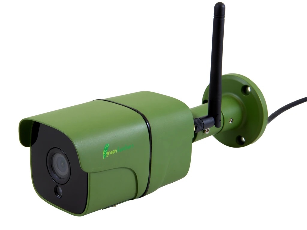 Green Feathers WiFi Bullet Wildlife Camera