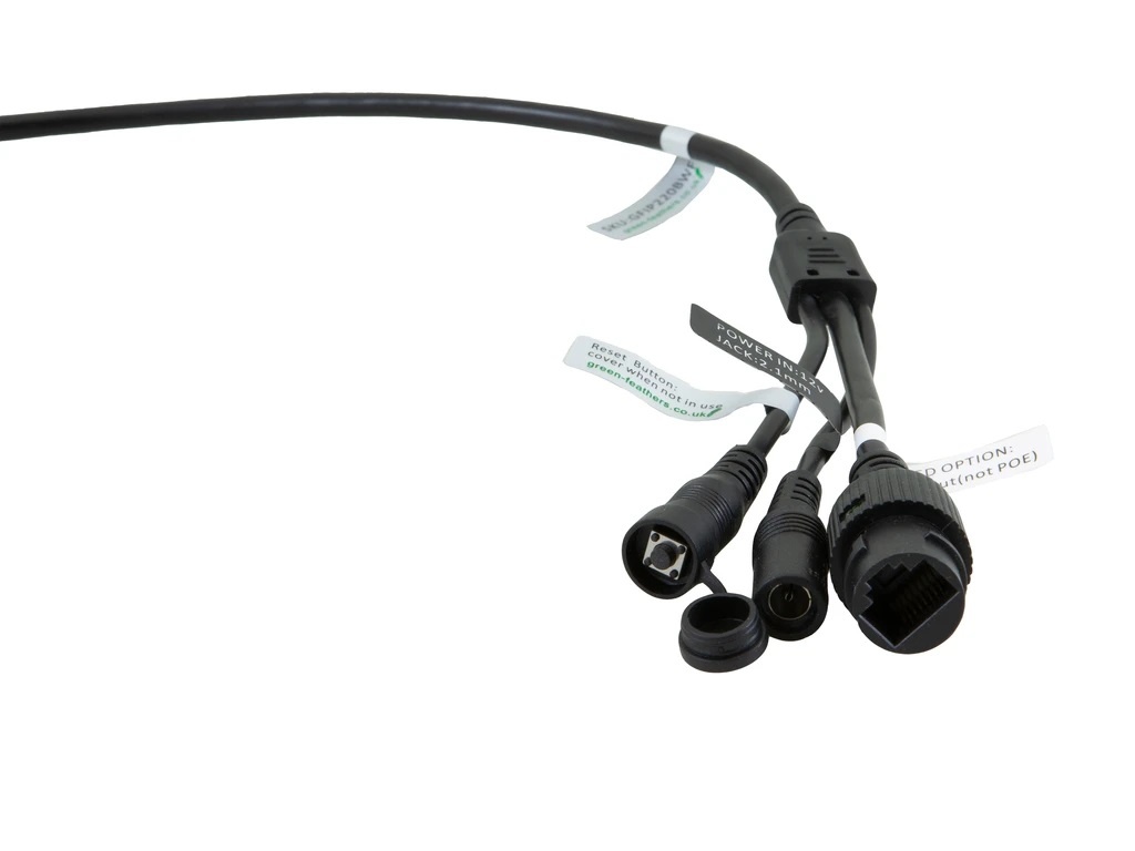 Green Feathers W-lan Bullet Wildlife Kamera