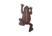 Frog thermometer