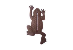 Frog thermometer