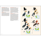 Birds of the Indonesian Archipelago  - Greater Sundas and Wallacea