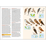Birds of the Indonesian Archipelago  - Greater Sundas and Wallacea