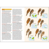 Birds of the Indonesian Archipelago  - Greater Sundas and Wallacea