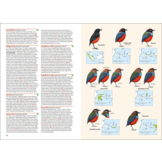 Birds of the Indonesian Archipelago  - Greater Sundas and Wallacea