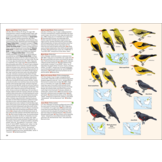 Birds of the Indonesian Archipelago  - Greater Sundas and Wallacea