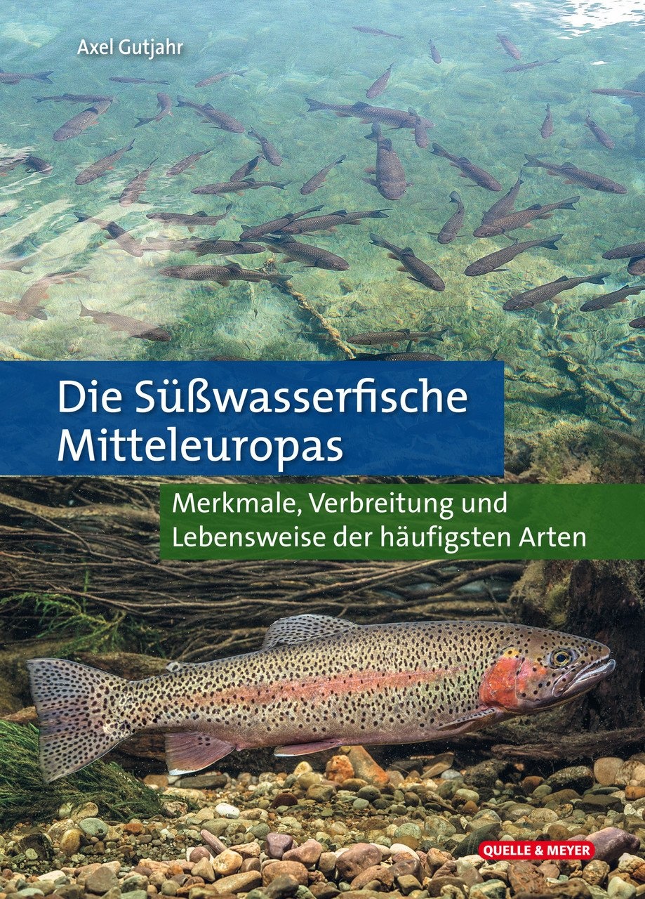 Die Süßwasserfische Mitteleuropas - Merkmale, Verbreitung und Lebensweise der Häufigsten Arten