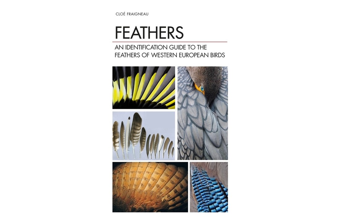 Feathers - An Identification Guide to the Feathers of Western European Birds