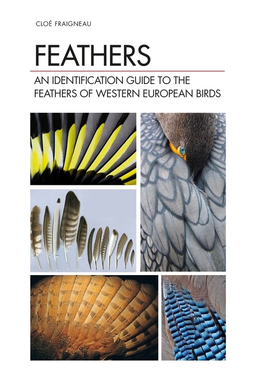 Feathers - An Identification Guide to the Feathers of Western European Birds