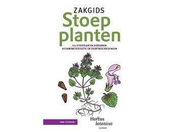 Zakgids Stoepplanten
