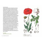 Zakgids Stoepplanten