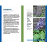 Zakgids Stoepplanten