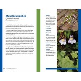 Zakgids Stoepplanten