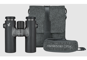 Swarovski CL Companion 8x30 Anthrazit Northern Lights