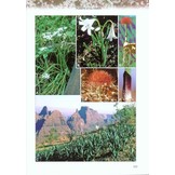 Plants of the Simen - A Flora of the Simen Mountains and Surroundings, Northern Ethiopia