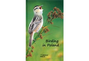 Birding in Poland