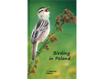 Birding in Poland