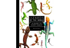Lizards of the World
