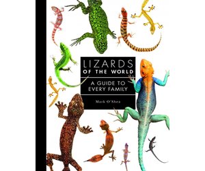 lizards-of-the-world-a-guide-