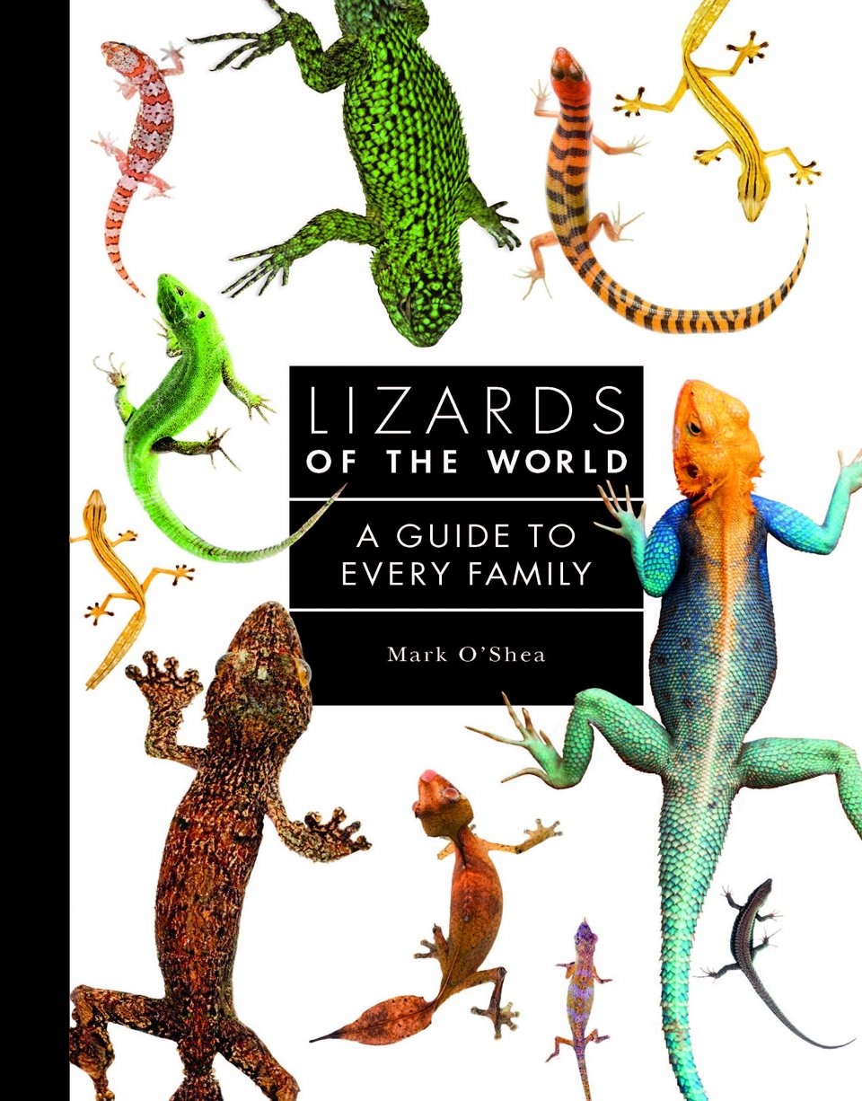 Lizards of the World - A Guide to Every Family