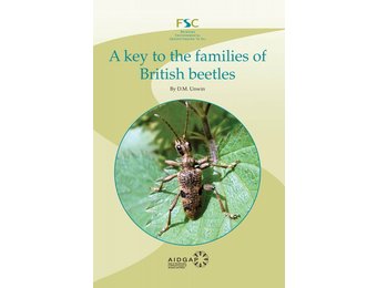 A Key to the Families of British Beetles