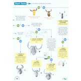 Illustrated Key to the British False Scorpions (Pseudoscorpions)