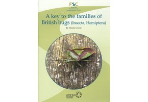 A Key to the Families of British Bugs (Insecta, Hemiptera)