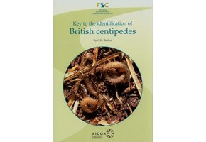 Key to the Identification of British Centipedes