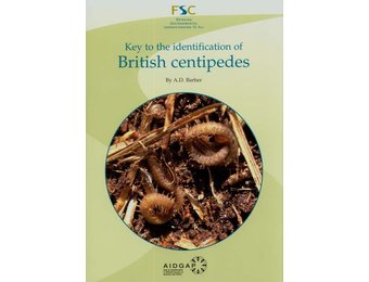 Key to the Identification of British Centipedes