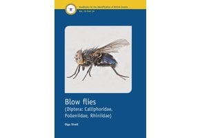 Blow Flies