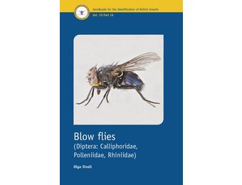 Blow Flies