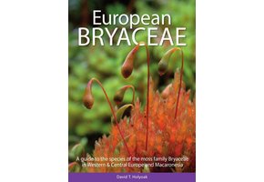 European Bryaceae