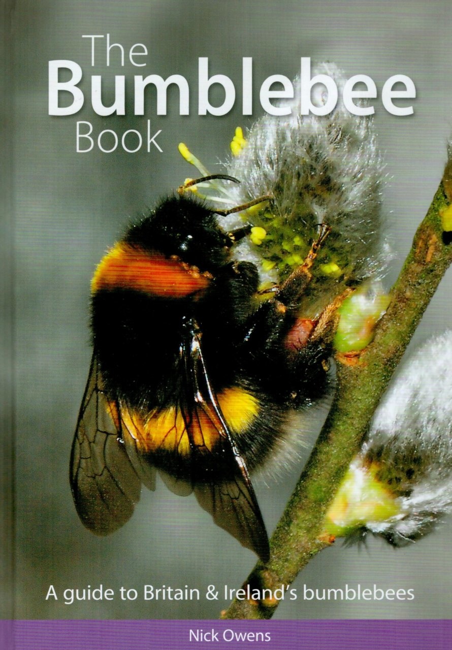 The Bumblebee Book - A Guide to Britain & Ireland's Bumblebees