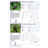 Atlas of Britain & Ireland's Larger Moths