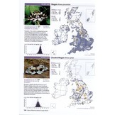 Atlas of Britain & Ireland's Larger Moths