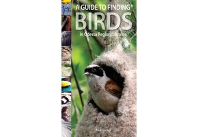 A Guide to Finding Birds in Odessa Region, Ukraine